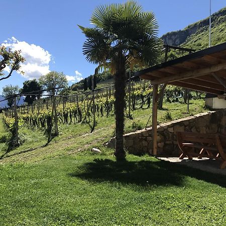 Villa Weifnerhof Tramin an der Weinstraße Exterior foto